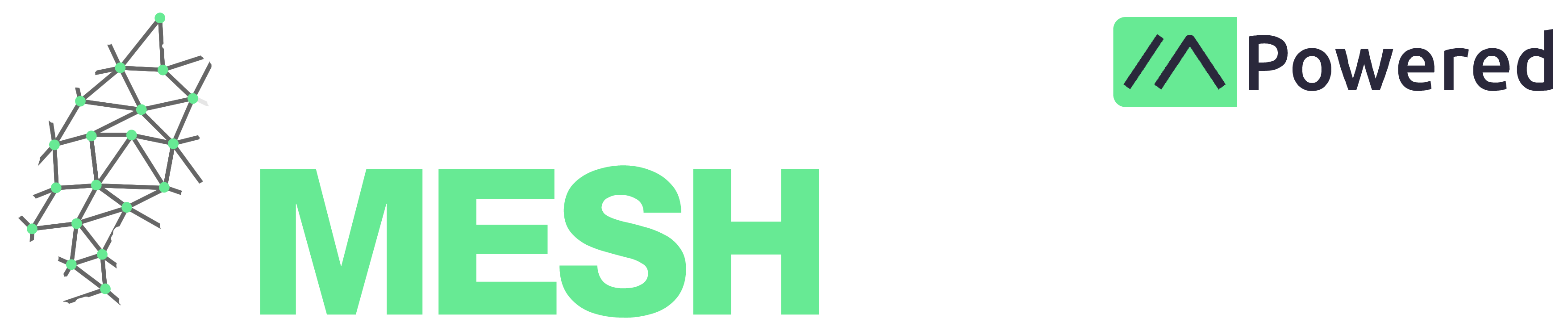 Mesh Hessen Logo